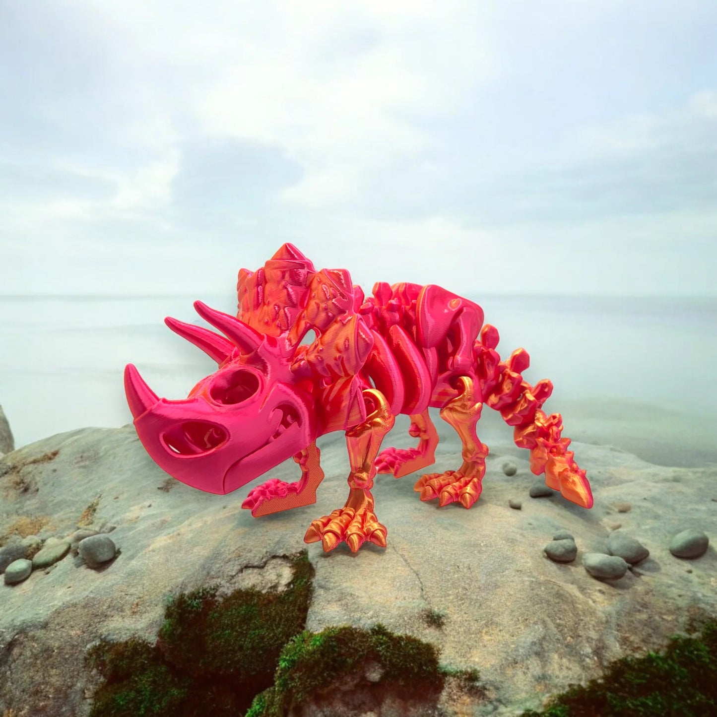 Fosil Triceratops