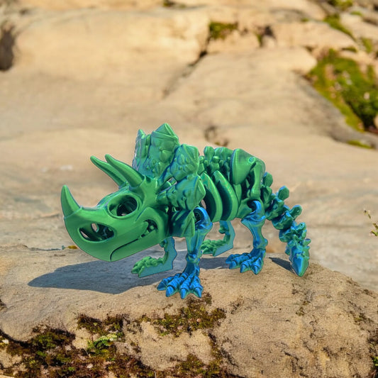Fosil Triceratops