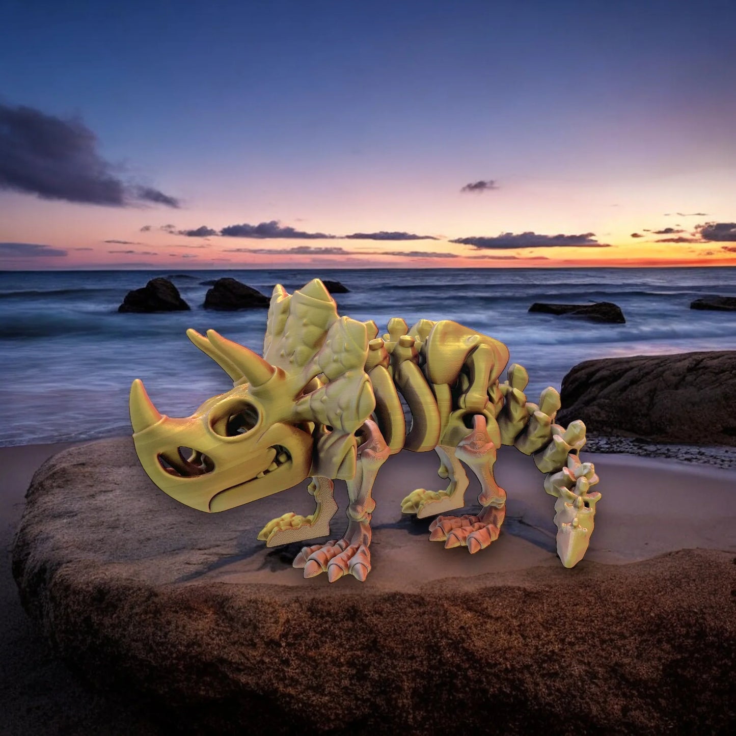 Fosil Triceratops
