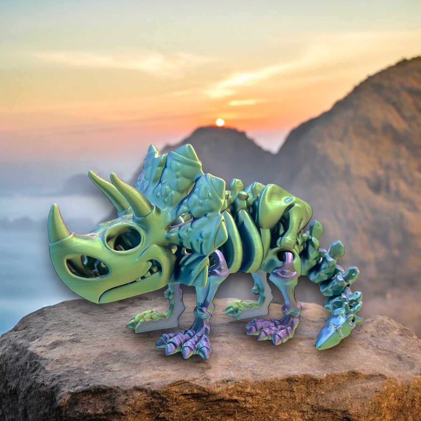 Fosil Triceratops