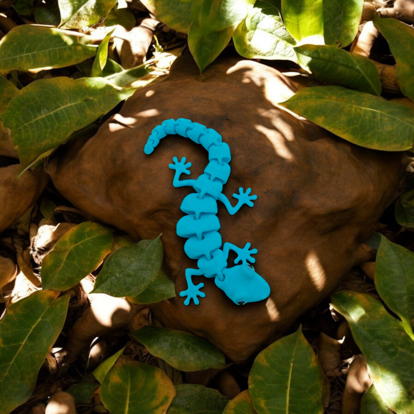 Gecko